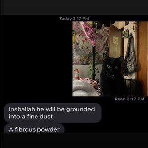 Meet your Posher, Jasmine